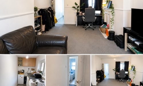 New photos